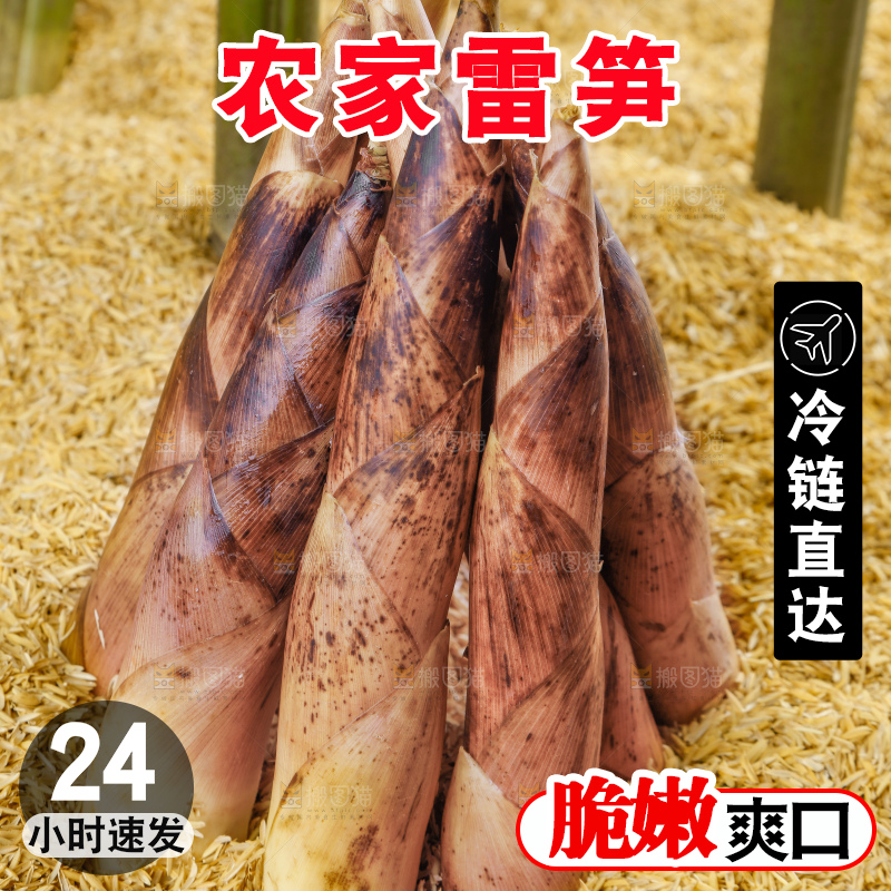 谷堆上的春雷笋