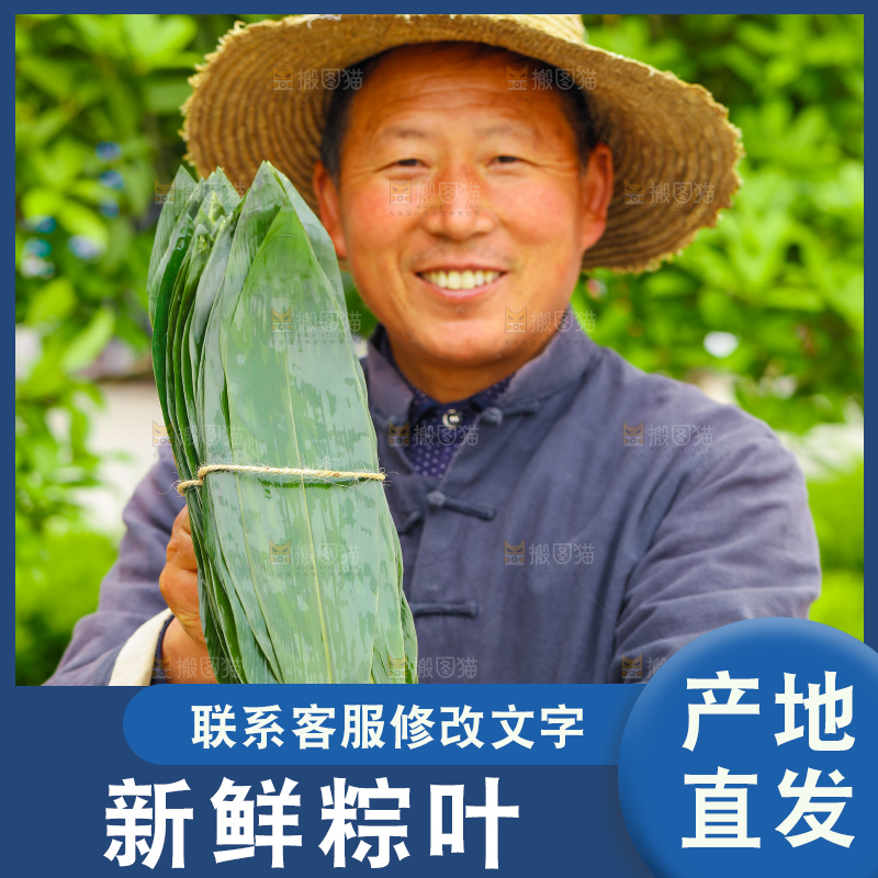 手里拿着新鲜粽叶