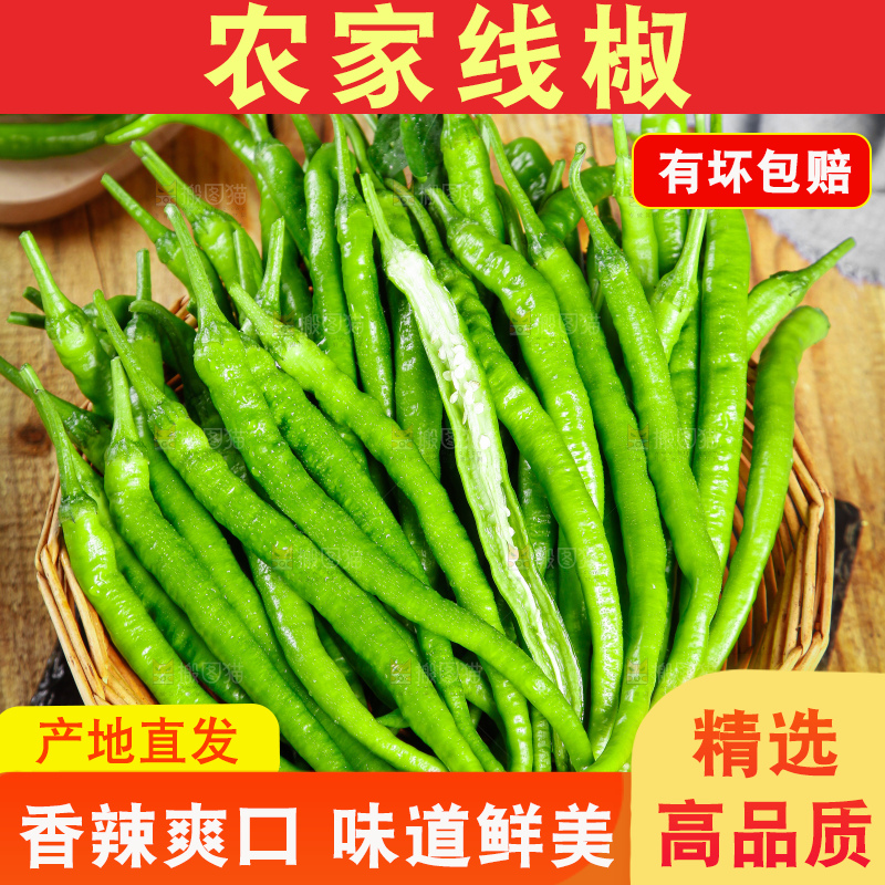 深底上的二荆条辣椒