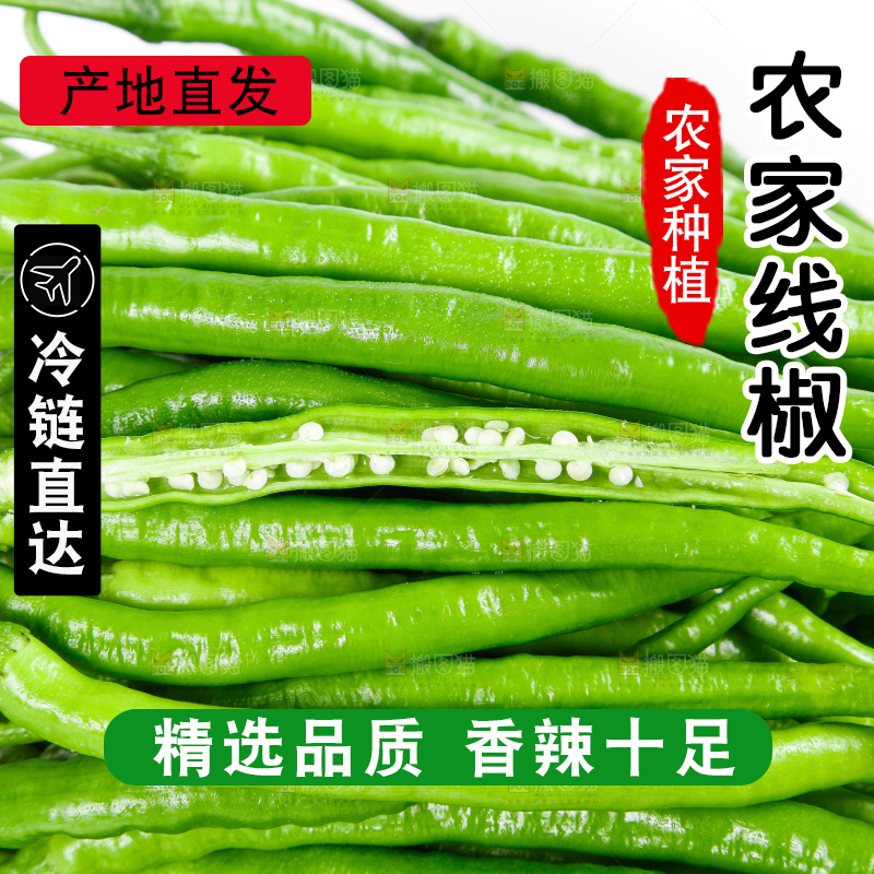 白底上的青线椒
