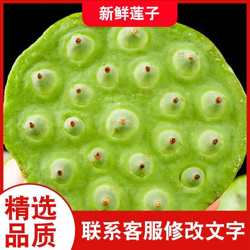 手里拿着新鲜莲蓬