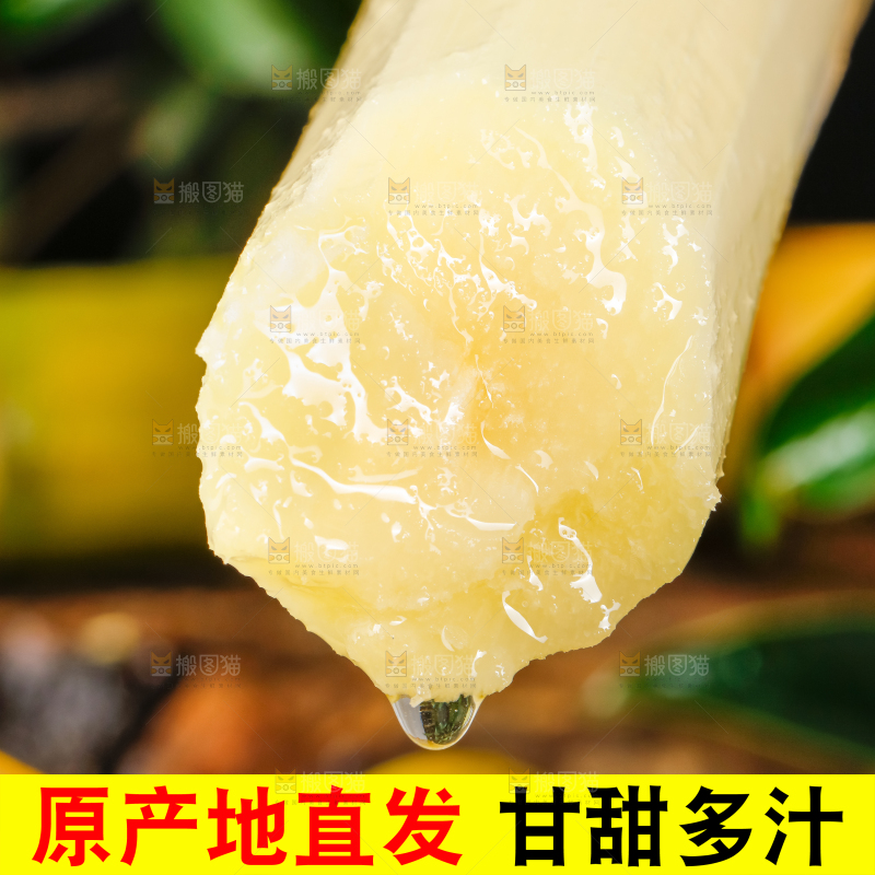 白玉甘蔗主图