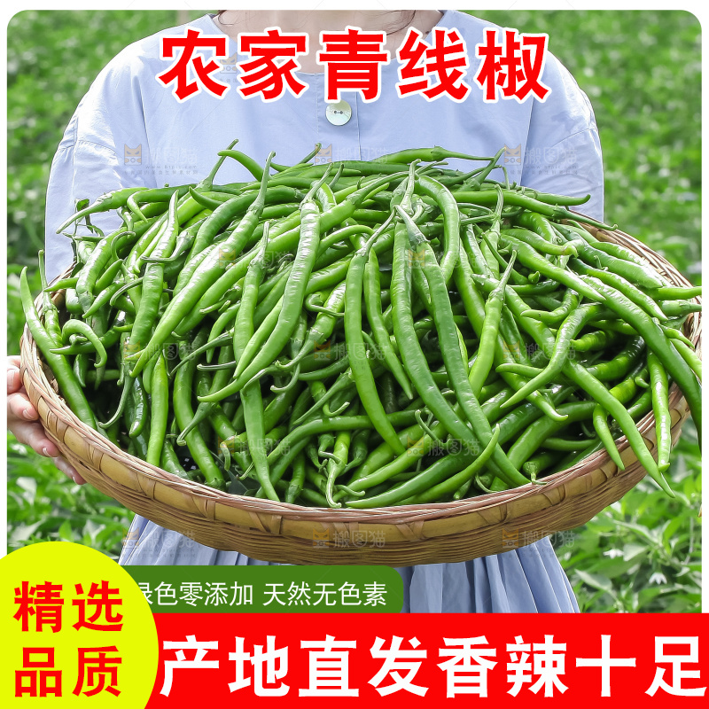 青线椒主图