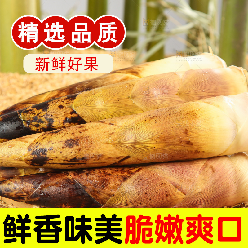 谷堆上的春雷笋