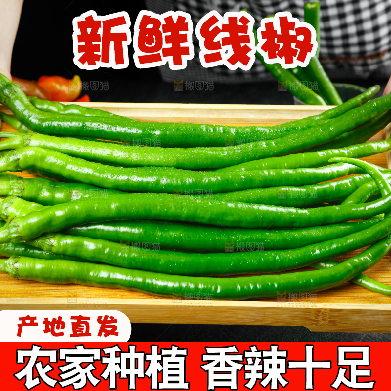 深底上的二荆条辣椒