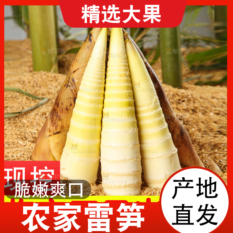 春雷笋主图
