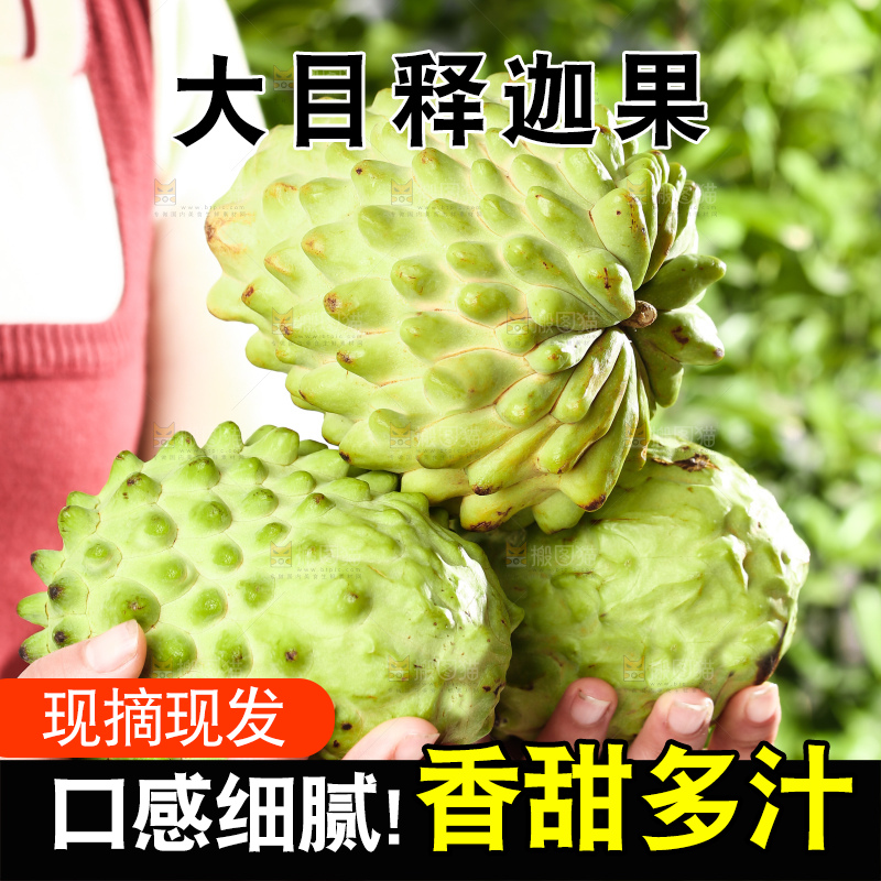深底上的释迦果