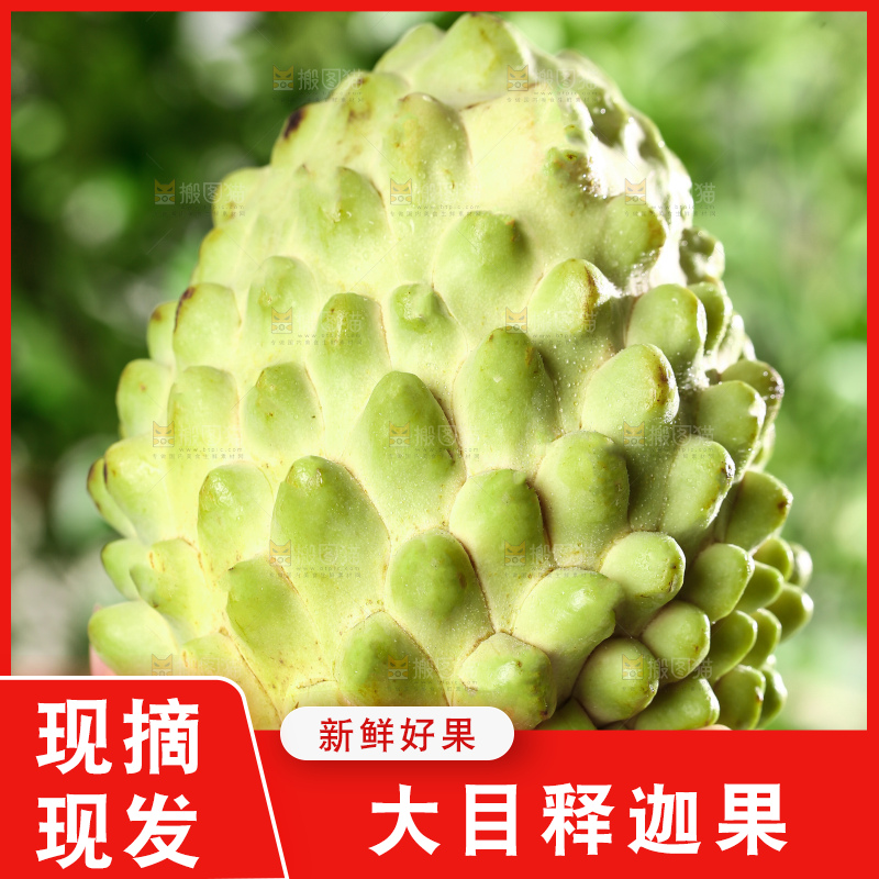 深底上的释迦果