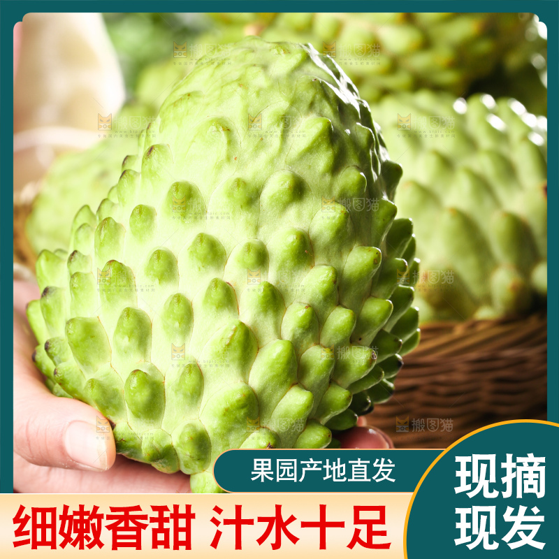 深底上的释迦果
