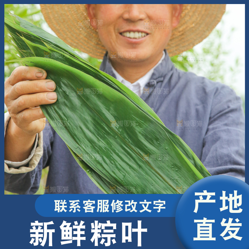 手里拿着新鲜粽叶
