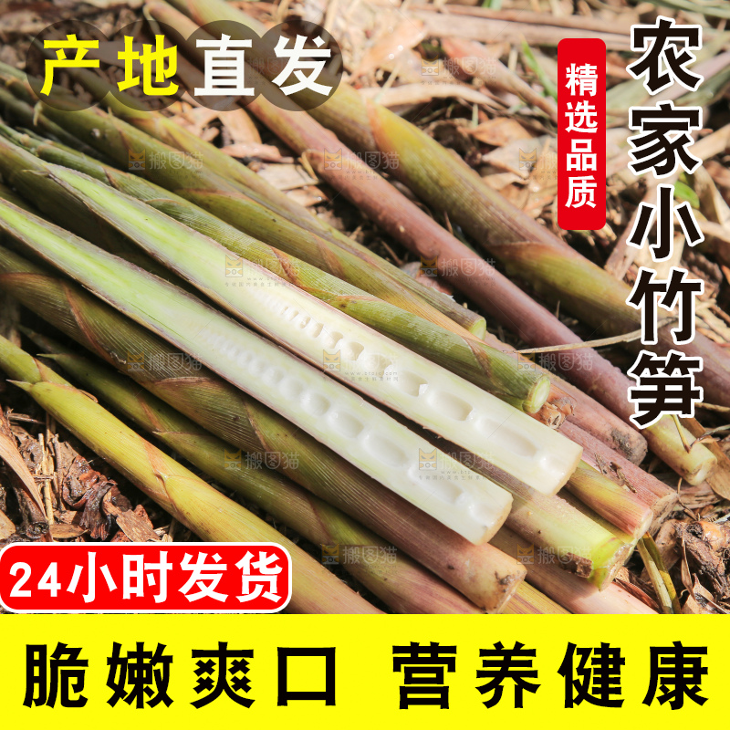 深底上的小竹笋