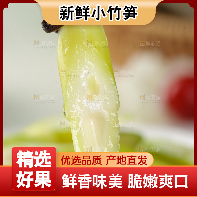 浅底上的小竹笋