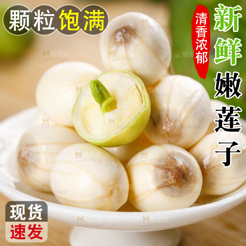 浅底上的莲子