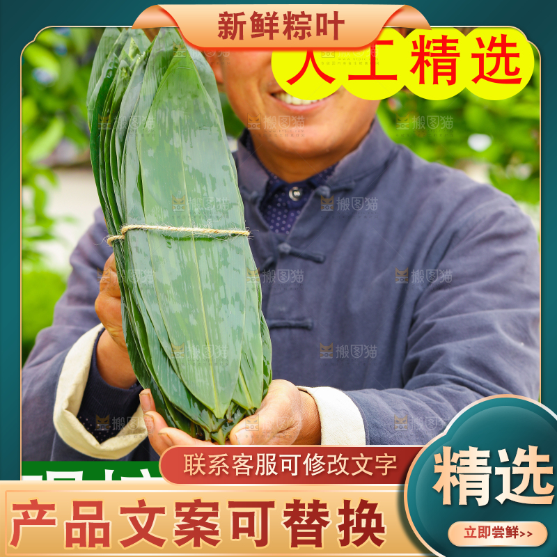 粽叶主图