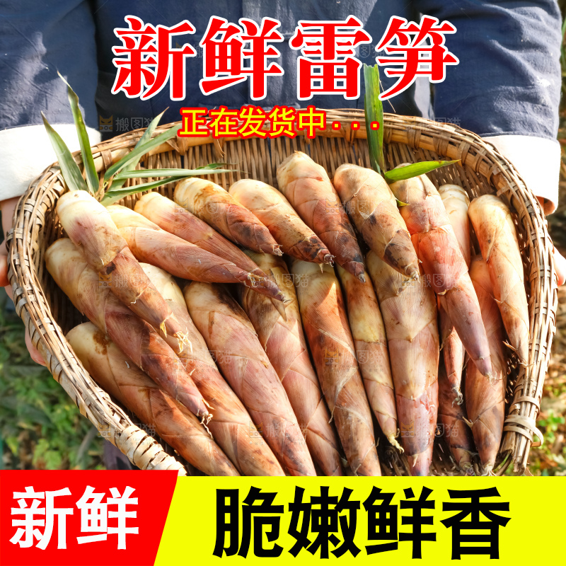 深底上的春雷笋