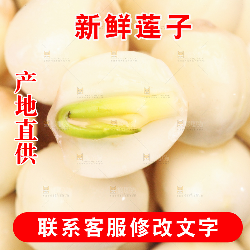 浅底上的莲子