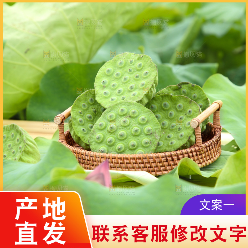 手里拿着新鲜莲蓬