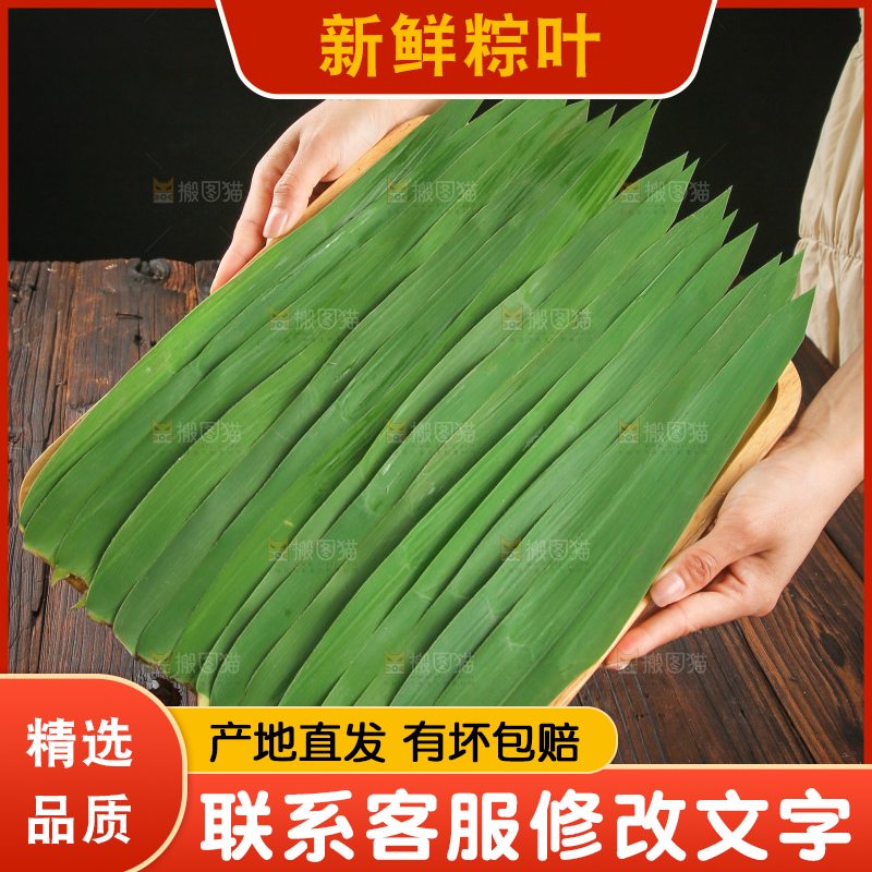 手里拿着新鲜粽叶