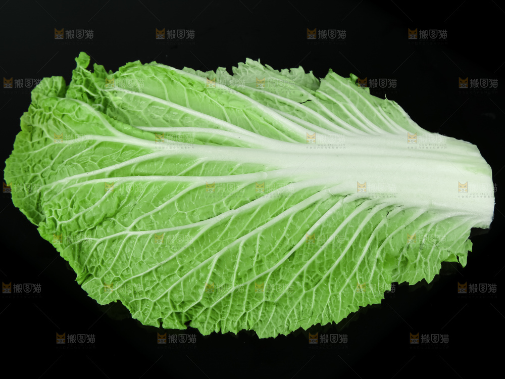 深底上的饭包叶