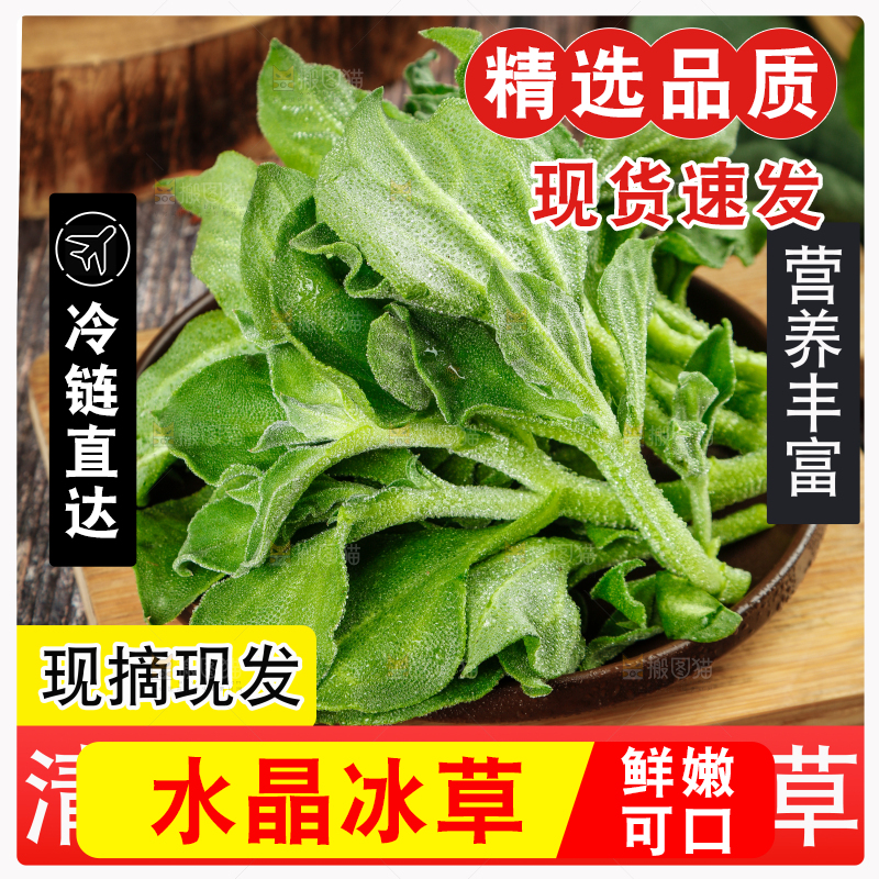 冰草主图