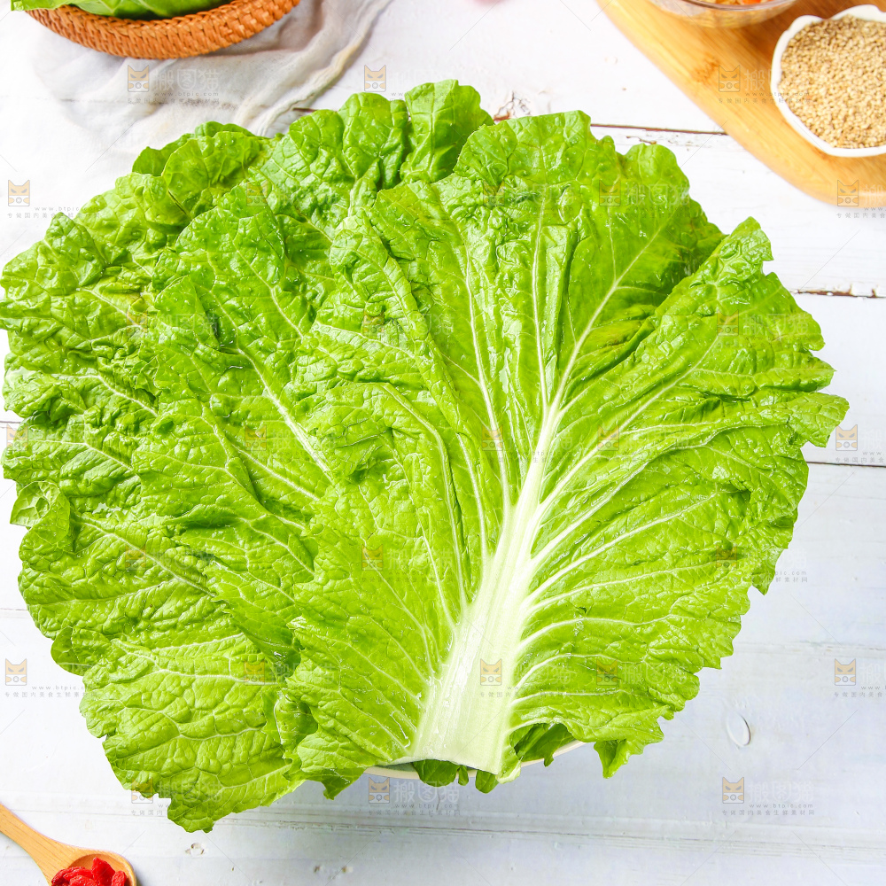 浅底上的饭包叶