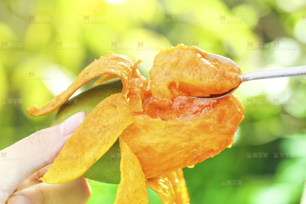 深底上的椰香芒