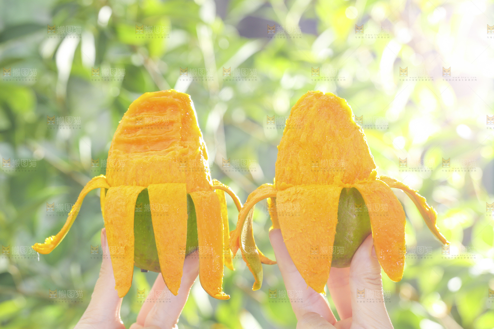 深底上的椰香芒