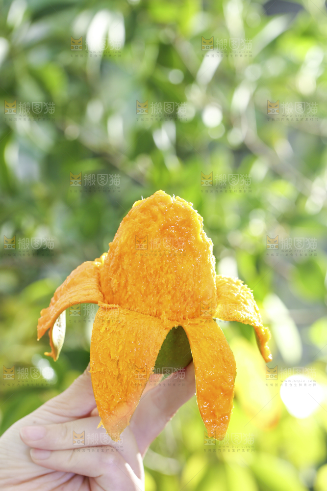 深底上的椰香芒