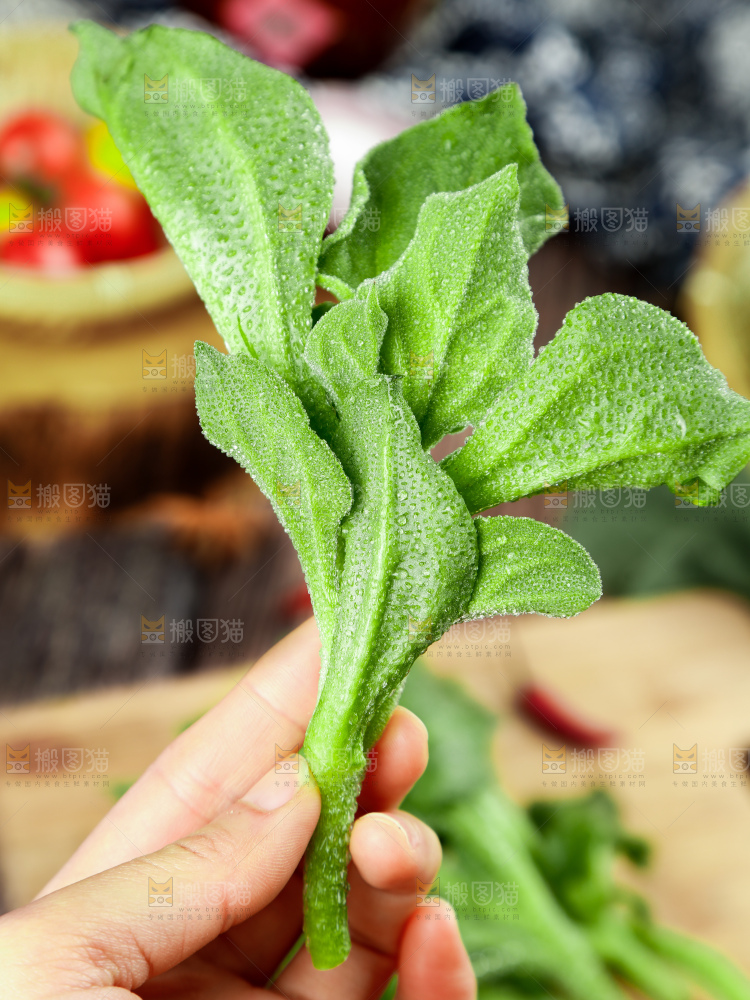 深底上的冰草