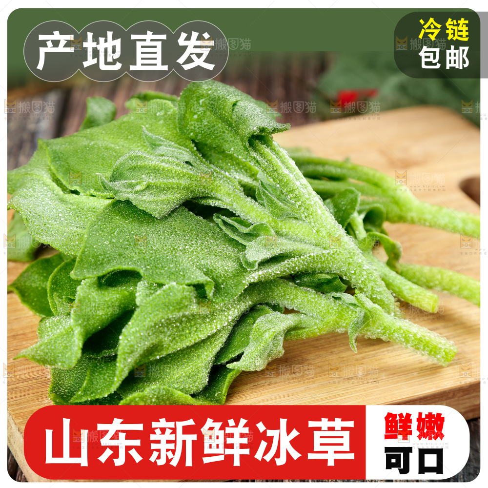 冰草主图