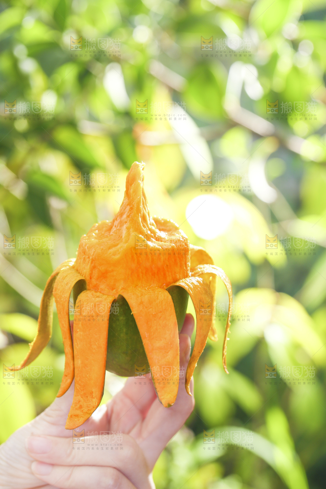 深底上的椰香芒