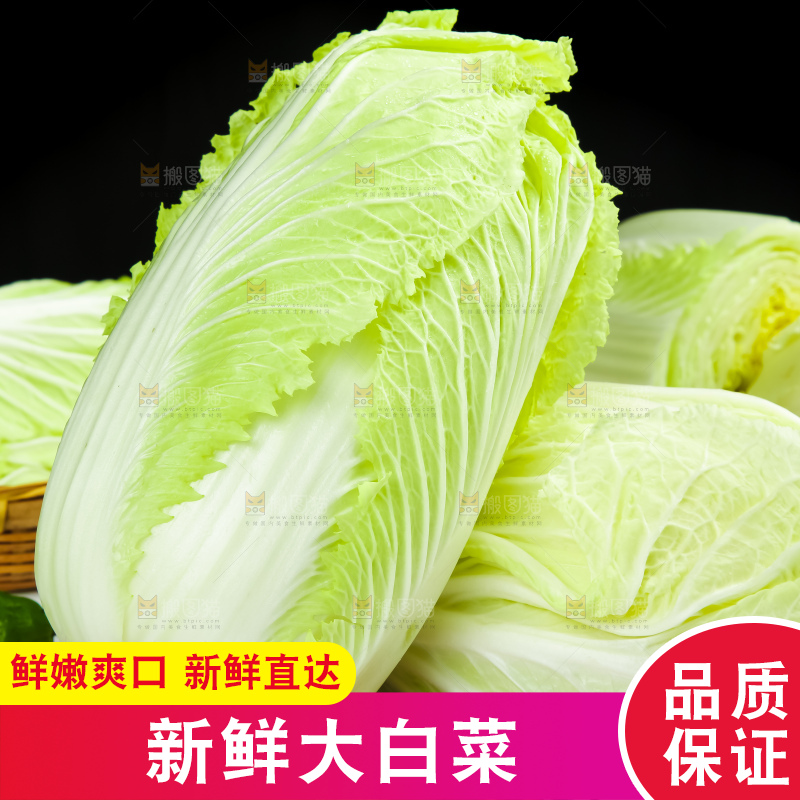 深底上的大白菜