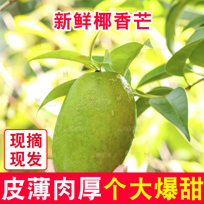 深底上的椰香芒