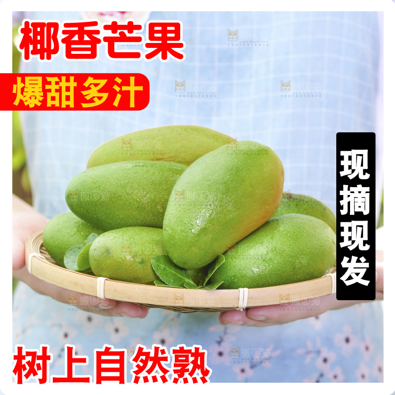 深底上的椰香芒