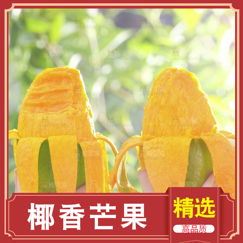 深底上的椰香芒