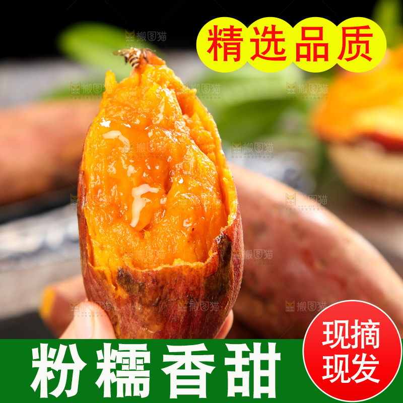深底上的六鳌蜜薯