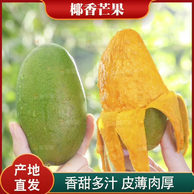 深底上的椰香芒