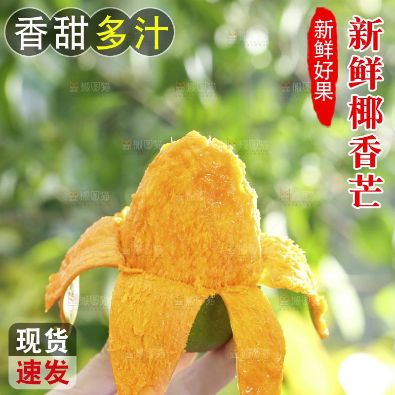深底上的椰香芒