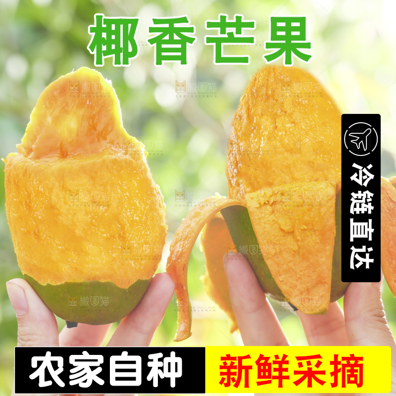 深底上的椰香芒