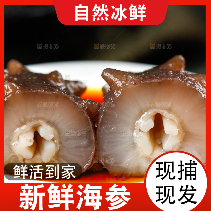 深底上的海参