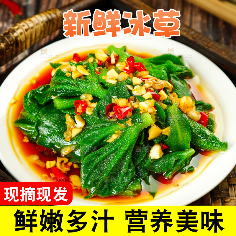深底上的冰草
