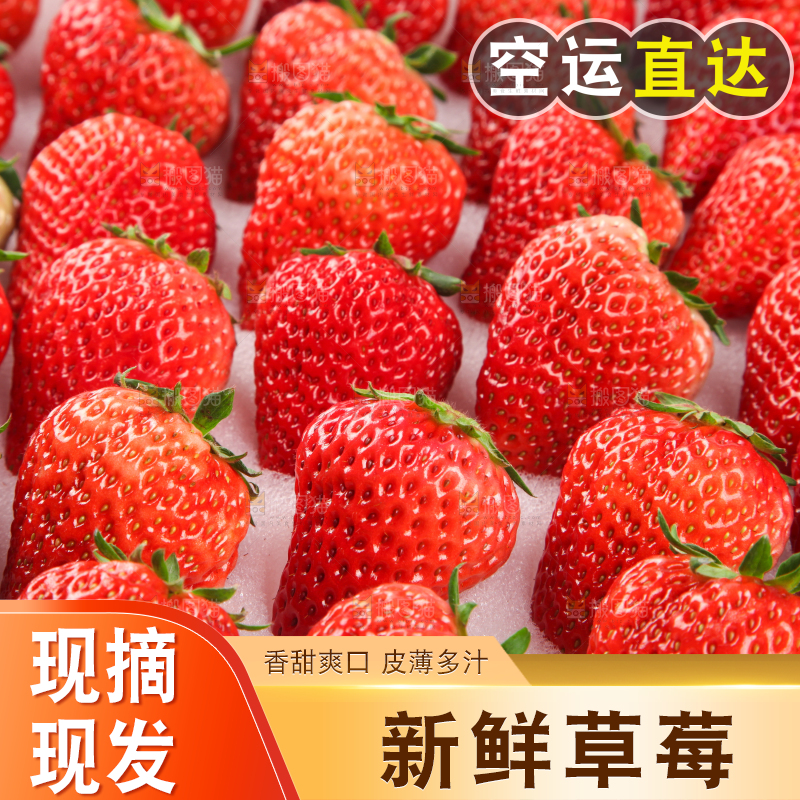 草莓主图