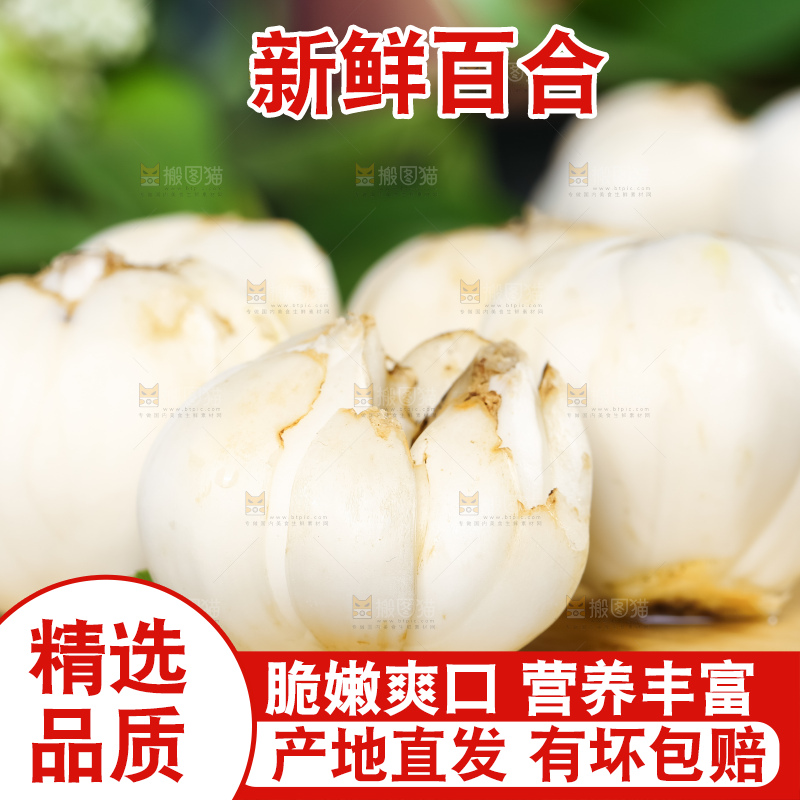 深底上的新鲜百合