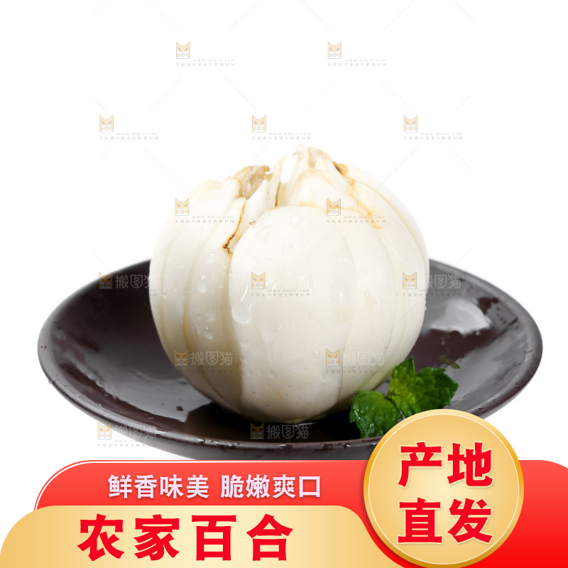 白底上的新鲜百合