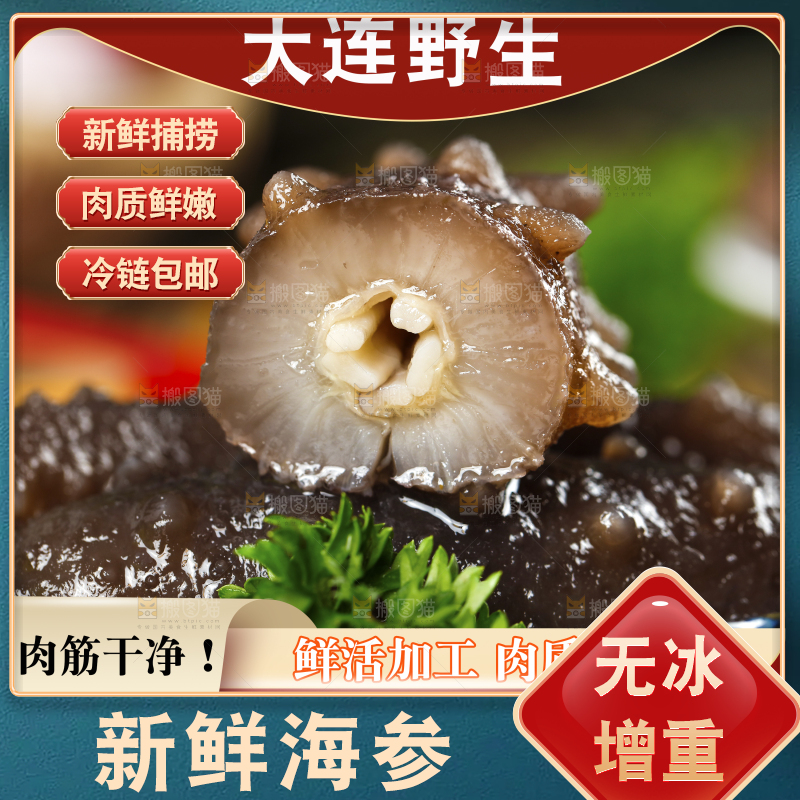 新鲜海参主图