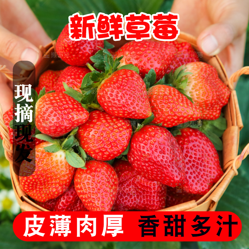 堆放着的新鲜草莓
