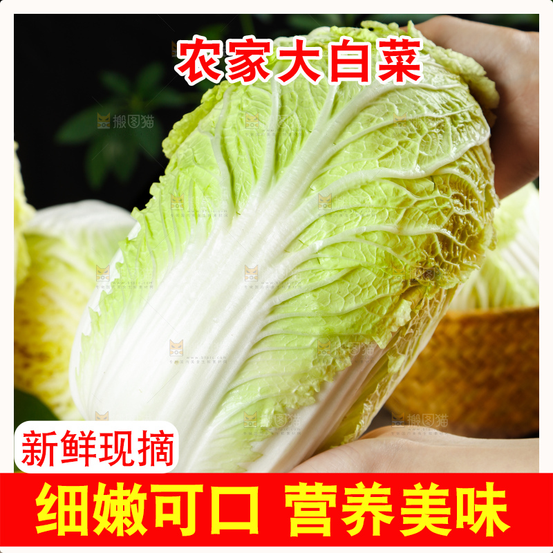 深底上的大白菜