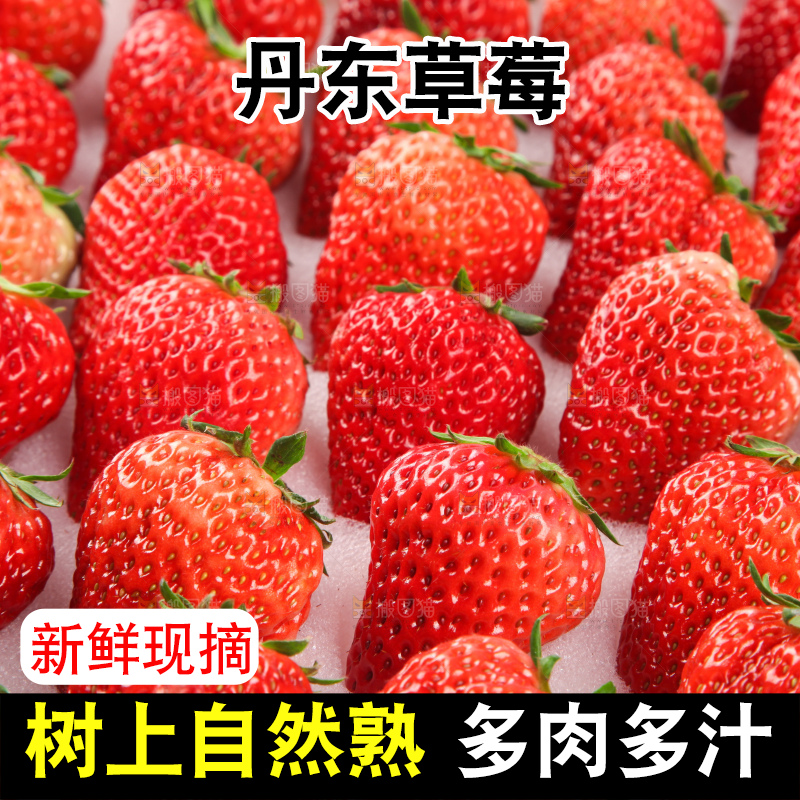 堆放着的新鲜草莓