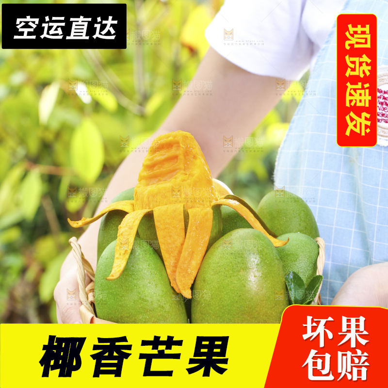 深底上的椰香芒