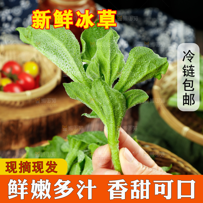 深底上的冰草